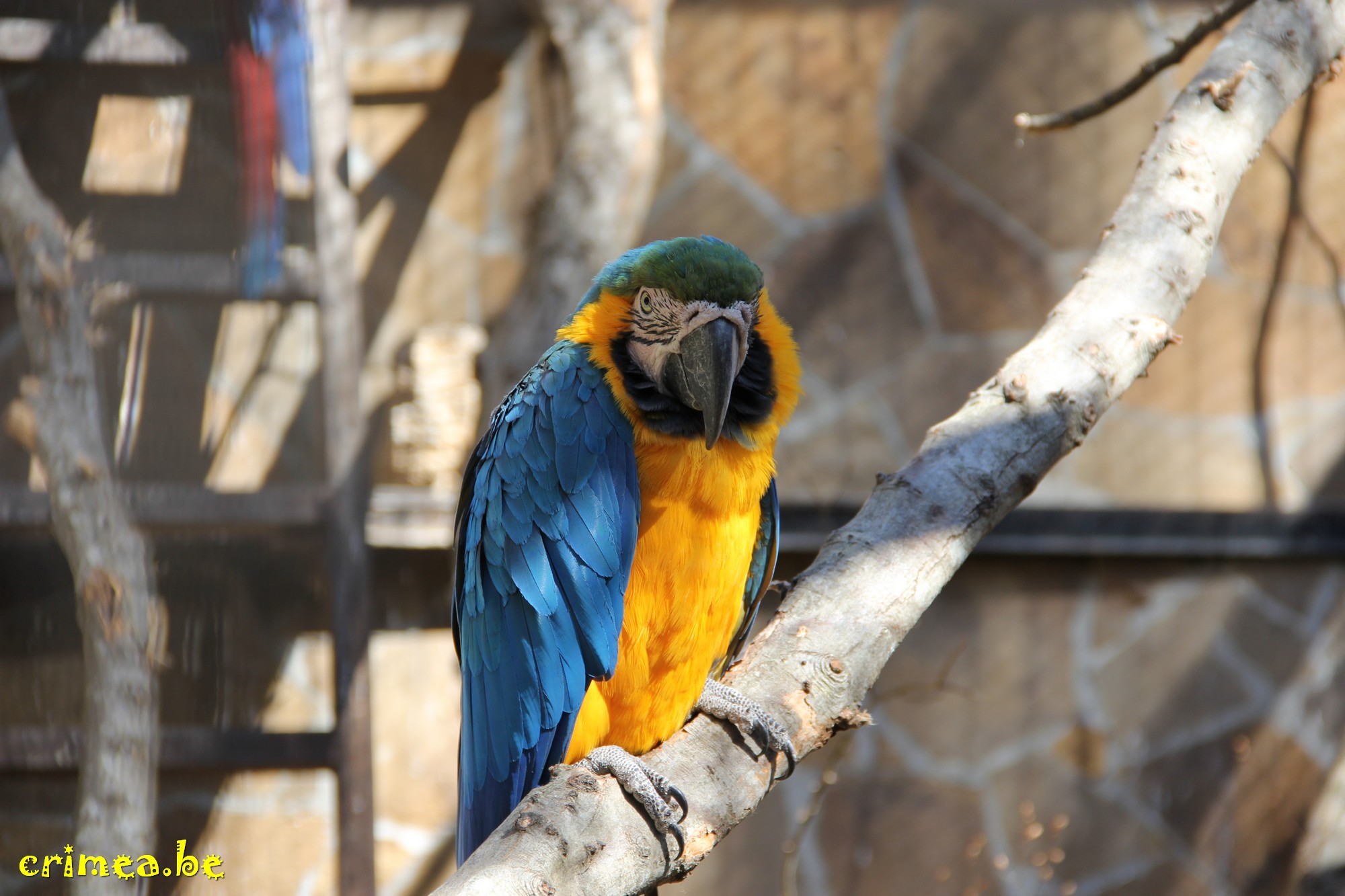 web IMG 2366